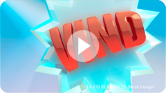 wiilde_kinder_720